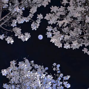 亚洲国产天堂一区在线播放观看
